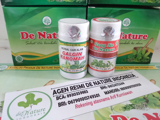 Illustration for article titled obat batu ginjal de nature